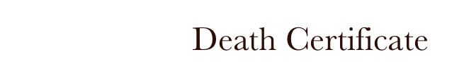M. S. Street Death Certificate